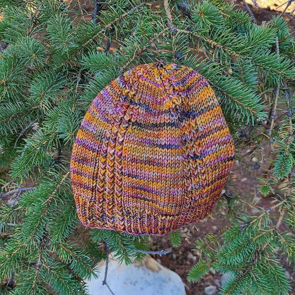 Cathy knit her teen sized beanie Tar-Sgàil Hat in Malabrigo Arroyo